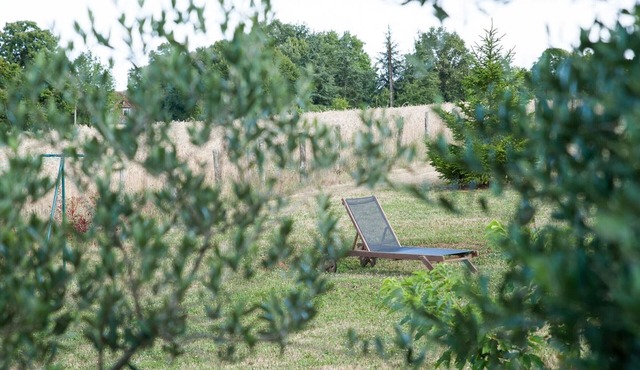 Modern house in Fossemagne, near Périgueux, comfort and activities
