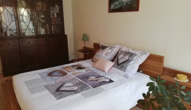 PARIS private refuge: 3 cozy rooms with tree-lined interior courtyard