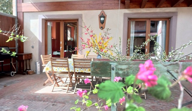 Peace and tranquility for a stay in the countryside, in a small Alsatian village.