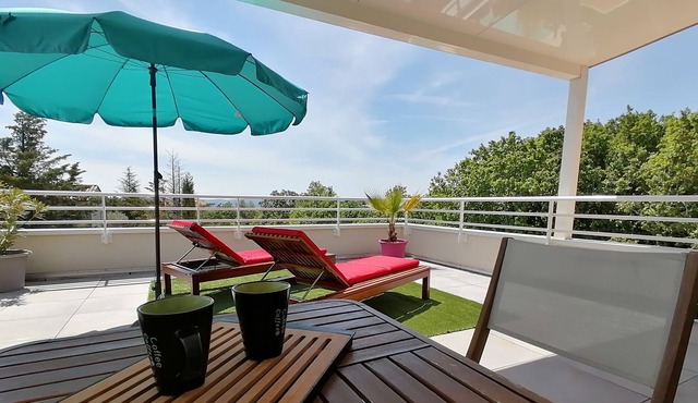 Penthouse apartment with terrace