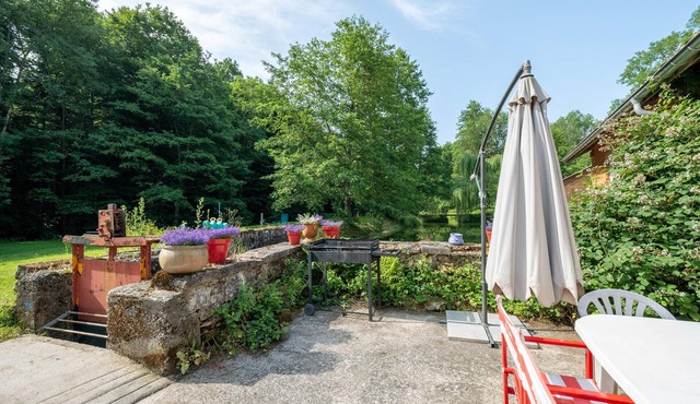 Pet friendly home in Escles with WiFi