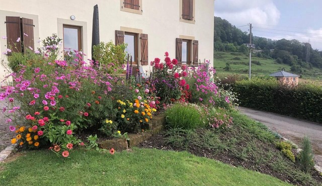 Renovated house near Vosges, ideal for outdoor activities