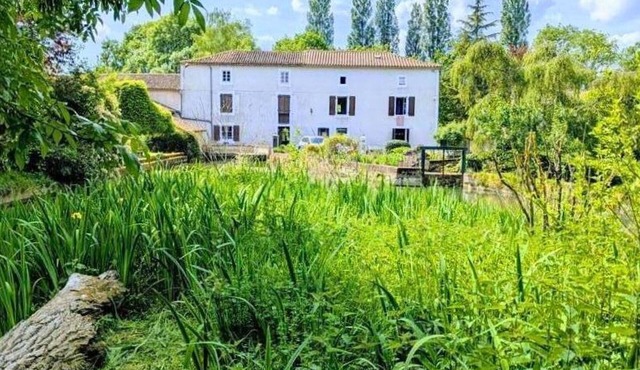Rustic old mill with garden, WIFI and parking, pets allowed in Saint-Mary