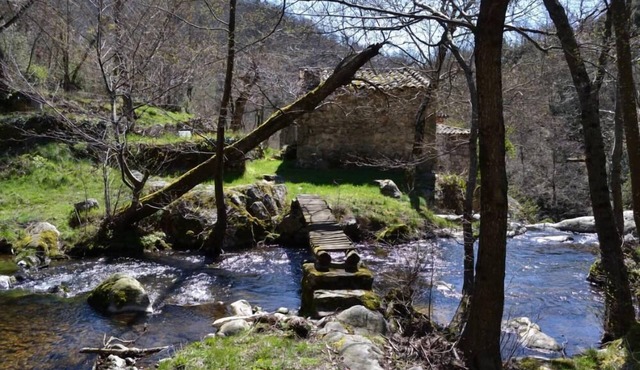 Saint Julien Labrousse: Country Cottage /Gite - Saint Julien Labrousse