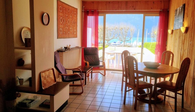 SEASONAL RENTAL in AIX-LES-BAINS FACE AU LAC SUR LE GRAND PORT