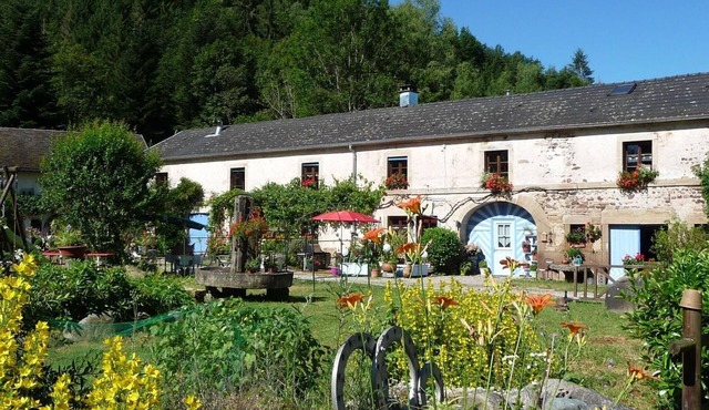 Serene Mill in Southern Vosges - Authentic and Modern Cottage