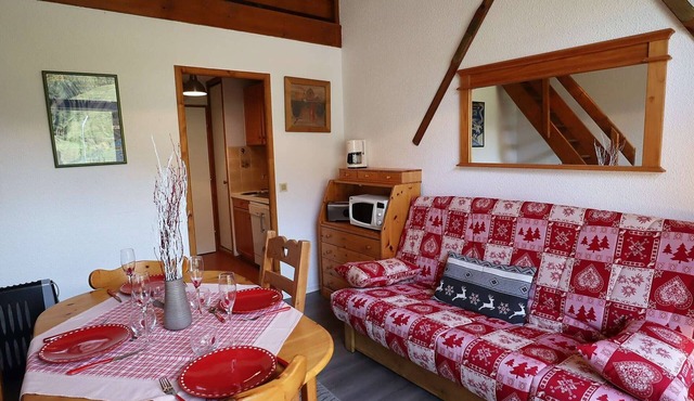 Ski apartment for 6, slopeside, garage, bright duplex