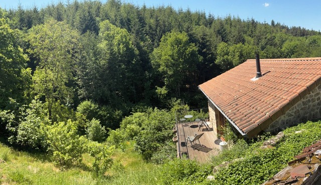 Small stone cottage in the heart of nature - Ardèche Verte