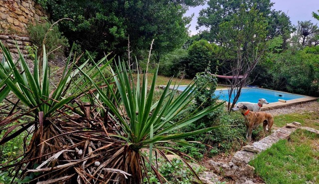Spacious and pleasant villa in Luberon we and weeks