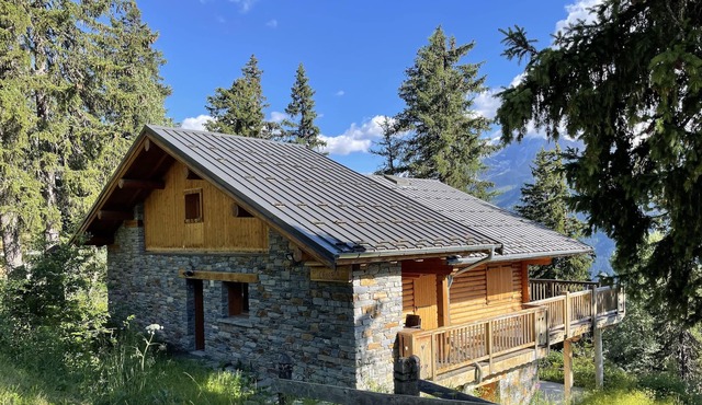 Spacious, modern, stylish chalet in peaceful area