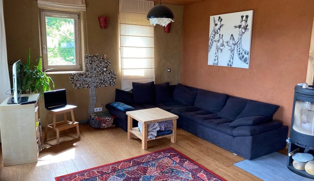 Straw and earth house, view of the Vercors, pets welcome