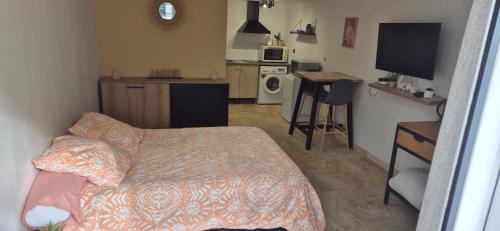 studio 30 m2