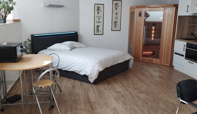 Studio 40 m2 Avec Sauna near Strasbourg