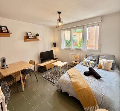 Studio Calme et Confort - Saint-Cyprien - Pont Neuf