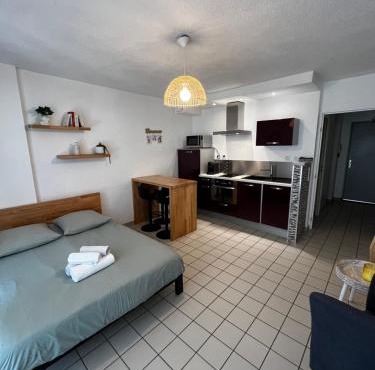 Studio lumineux avec grande terrasse