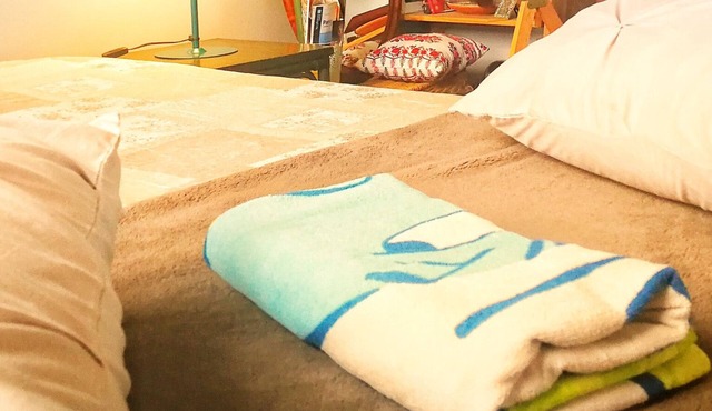 Sud Paris - Chambre/Camera/Room - traditional single