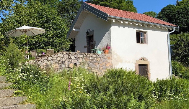 Tiny House La Tourelle with natural swimming lake in a dreamlike Vosges landscape