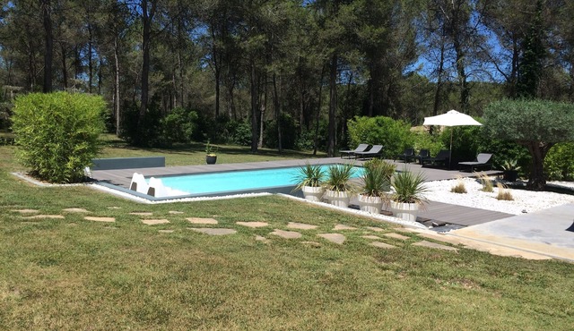 Villa with pool in the heart of the pine forest