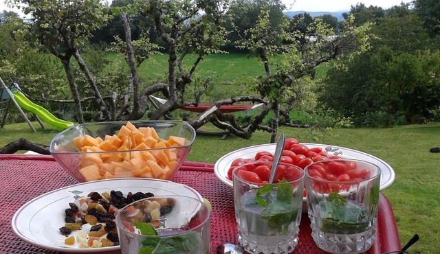Villa Monnetay, 4 bedrooms, 12 persons