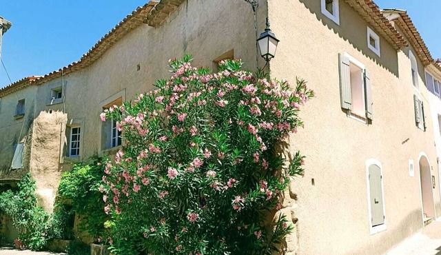Village house with 2 terraces a stone's throw from Villedieu's mythical square