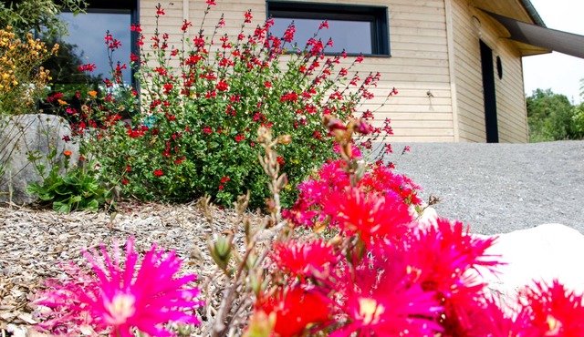 Vrbo Property