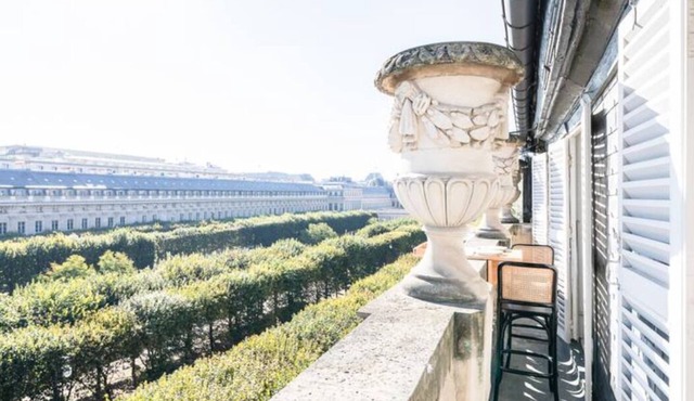 Vue Incroyable sur le Palais Royal " Emilie in Paris "