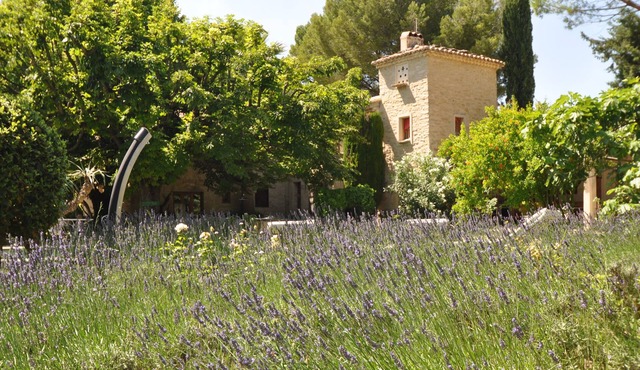 Wonderful 17th century Provencal farmhouse in the heart of 4ha of vineyards and olive trees