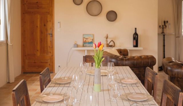 Woodpigeons at Le Barroux. An ideal holiday home for discovering Provence