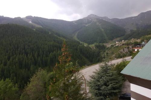 Auron 