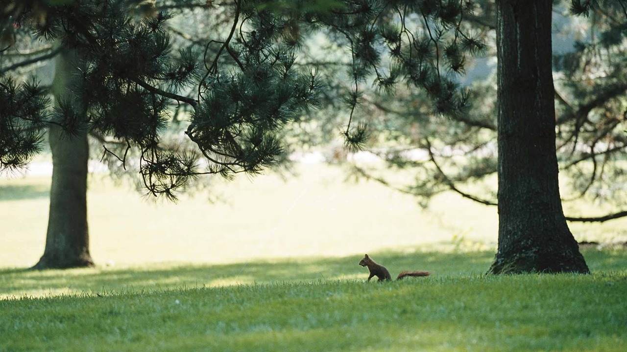 Photo of Outdoor in Cœur de Ville
