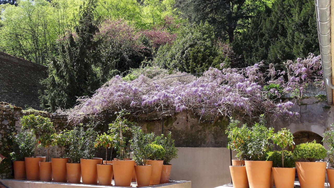 Photo of Patio Balcony in Tournon-sur-Rhone