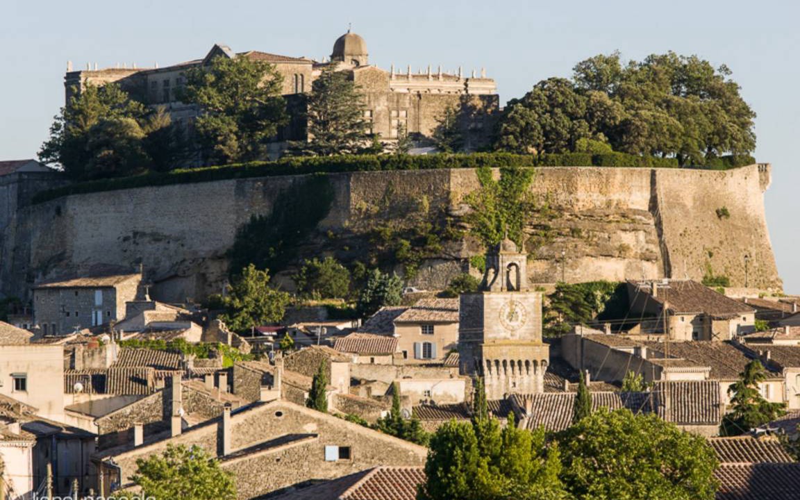 Photo of Others in Saint-Paul-Trois-Chateaux