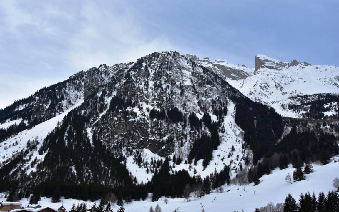 Photo of Others in Pralognan-la-Vanoise
