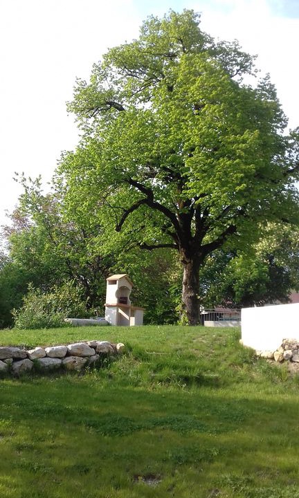 Photo of Others in Copponex