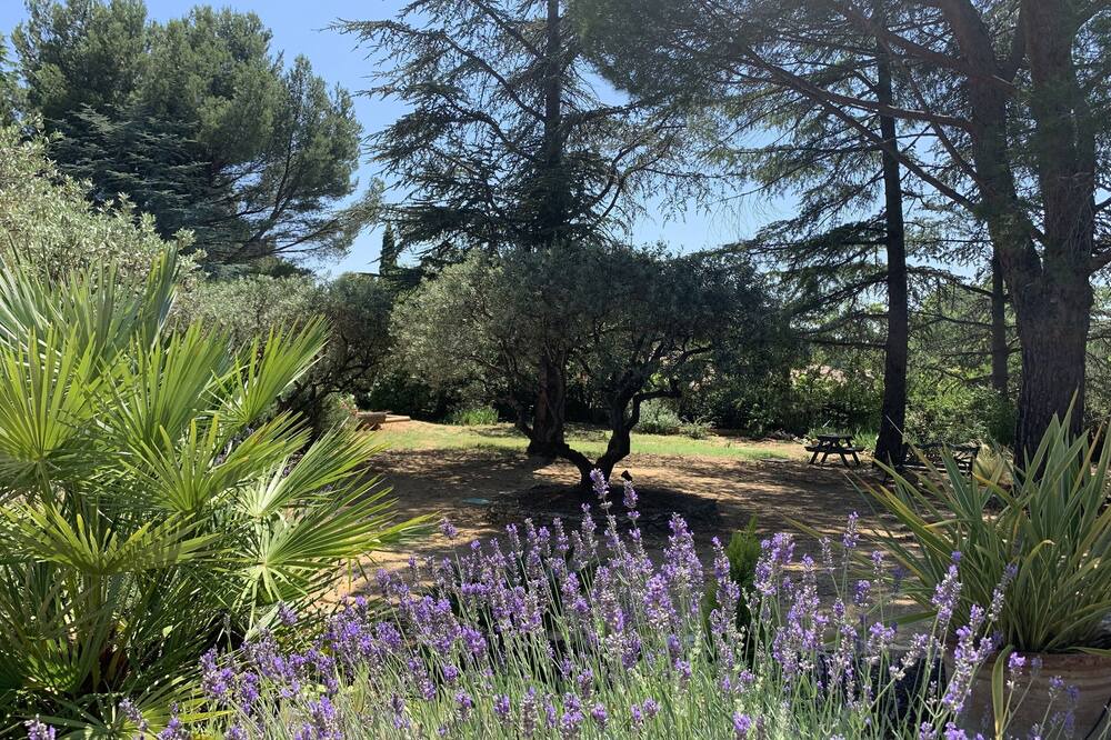 Photo of Outdoor in Beaumes-de-Venise