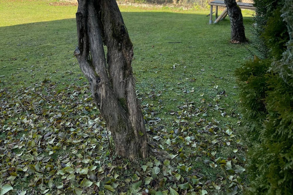 Photo of Outdoor in Damprichard