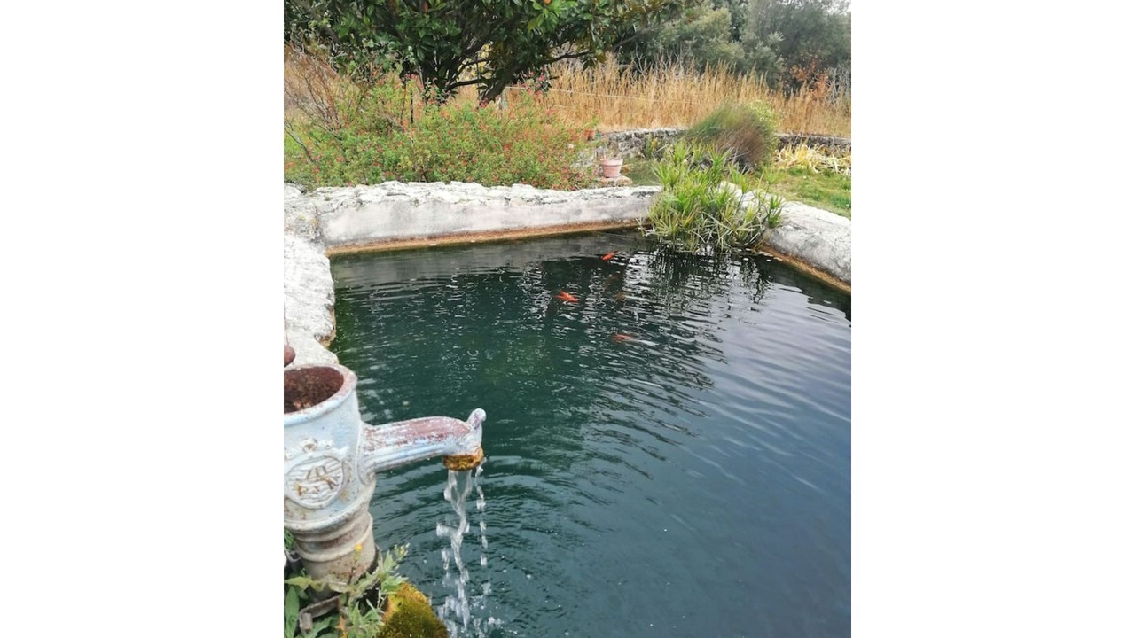 Photo of Outdoor in Grignan