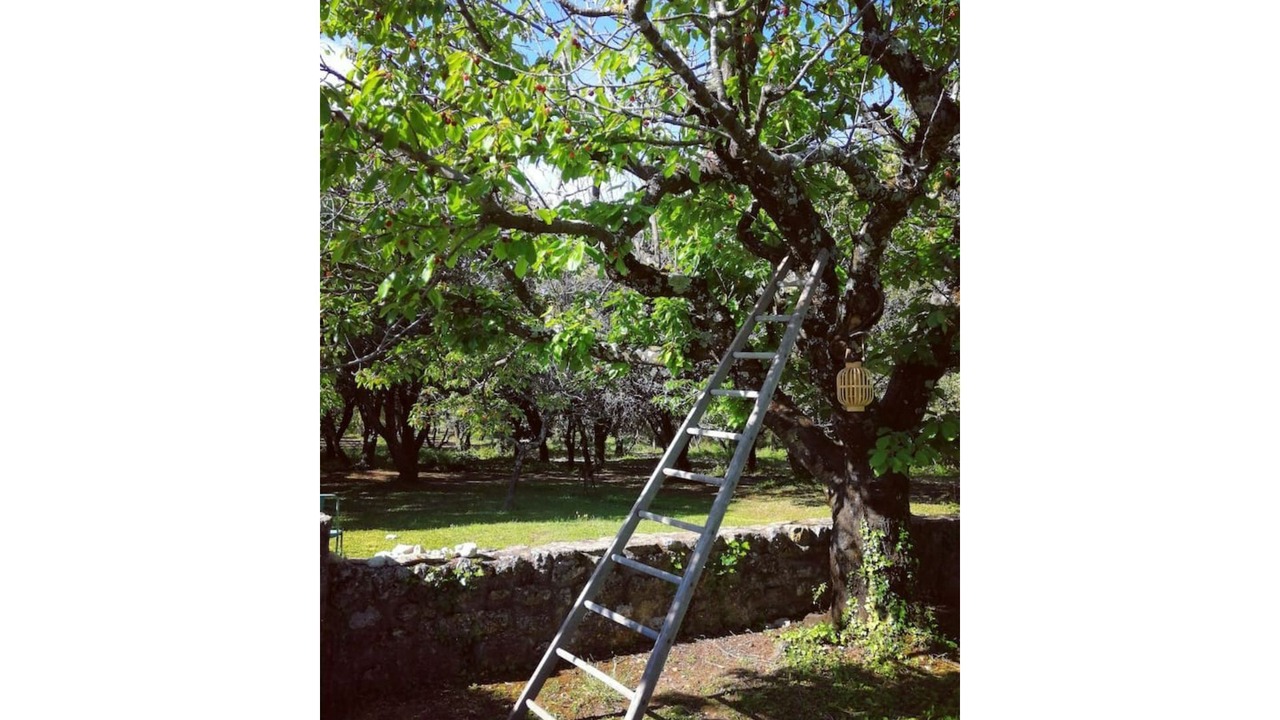 Photo of Outdoor in Grignan