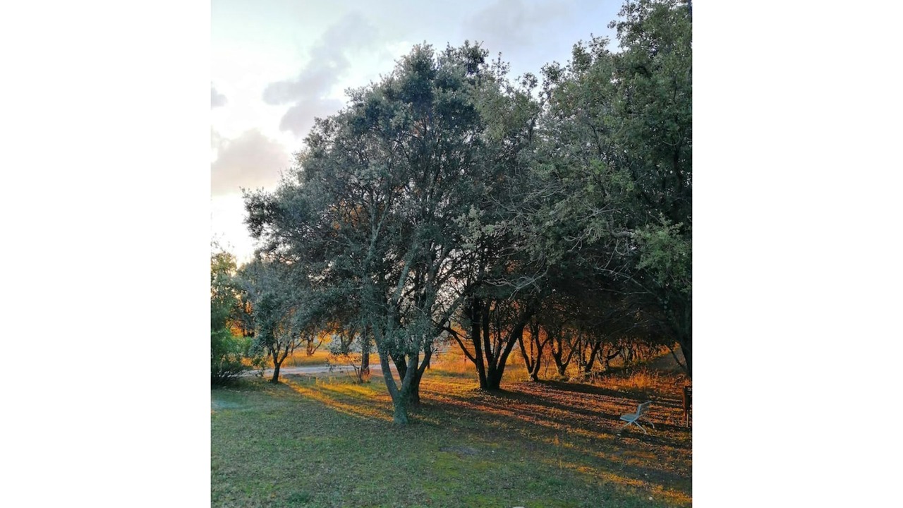 Photo of Outdoor in Grignan