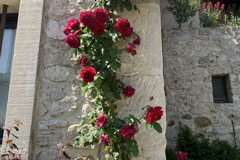 Photo of Outdoor in Valaurie