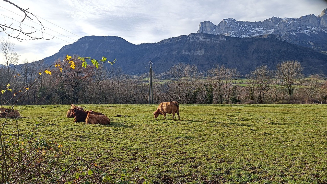 Photo of Outdoor in Saint-Martin-de-la-Cluze