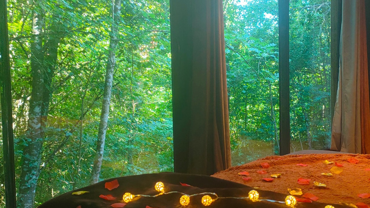 Photo of Bedroom in Illoud