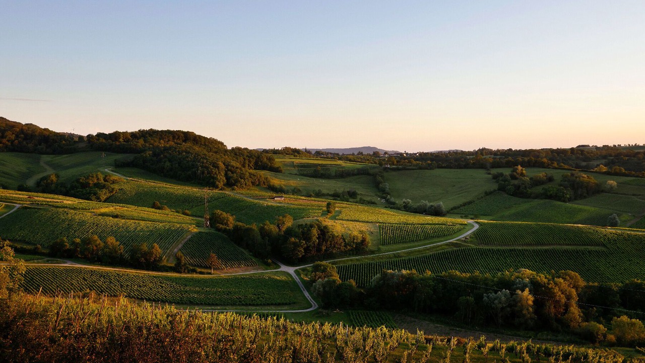 Photo of Outdoor in Arbois