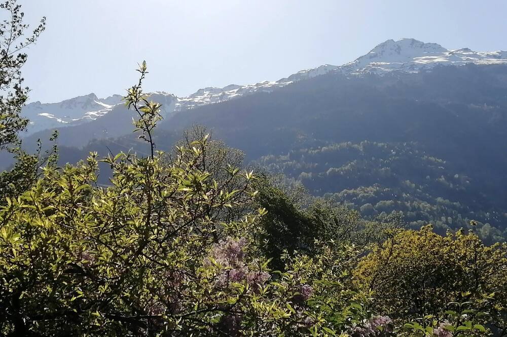 Photo of Others in Cevins