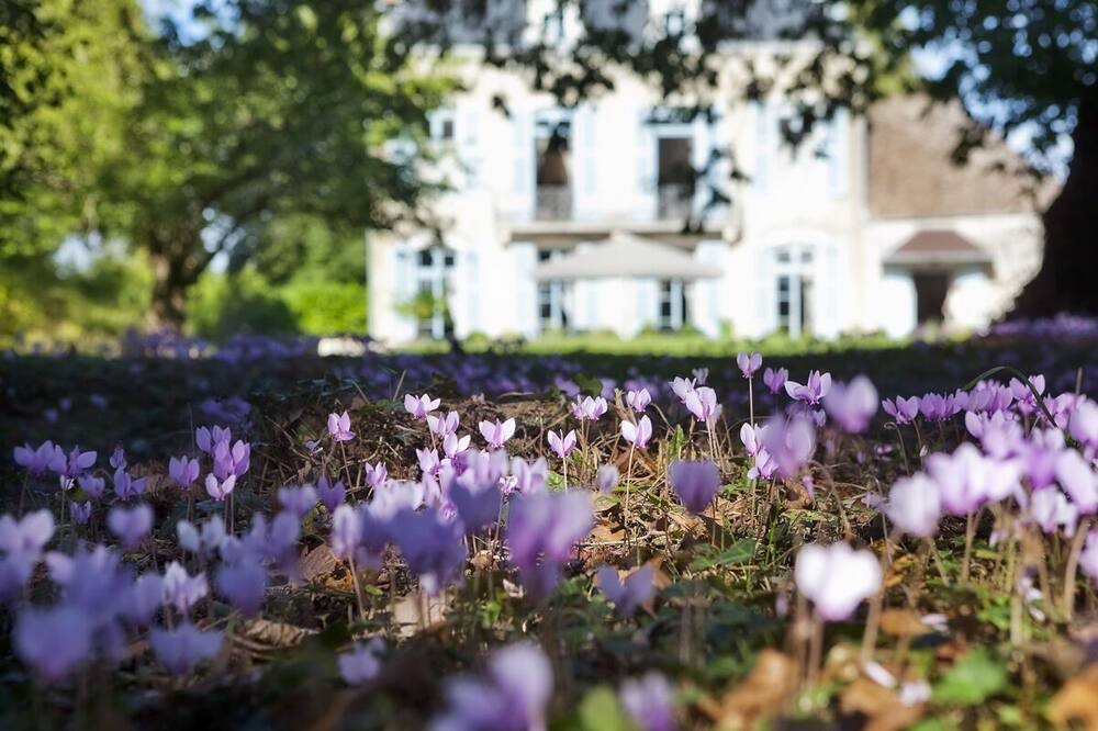 Photo of Outdoor in Lans