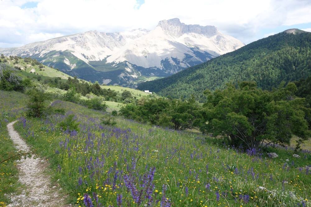 Photo of Outdoor in Aspres-sur-Buech
