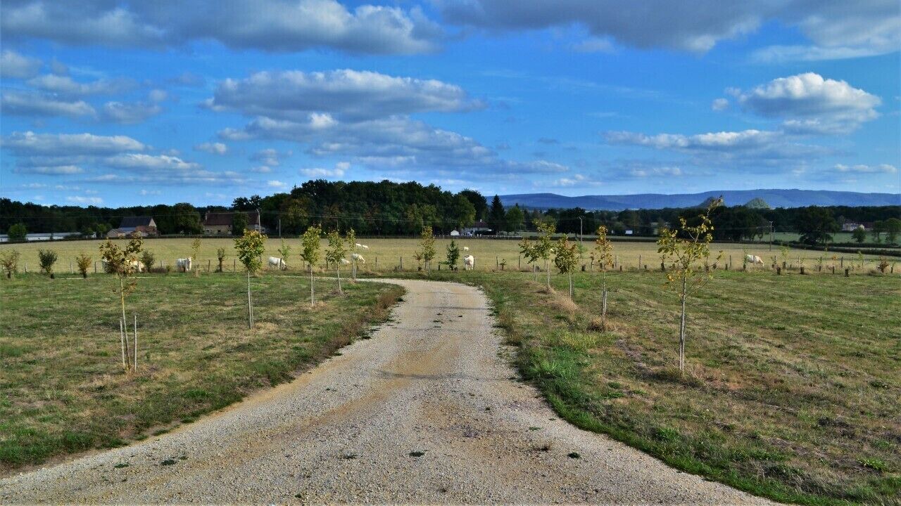 Photo of Outdoor in Saint-Forgeot