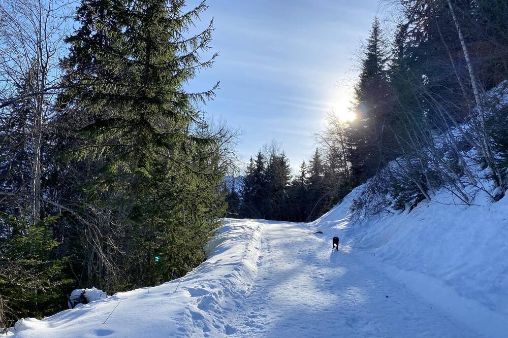 Photo of Others in La Lechere