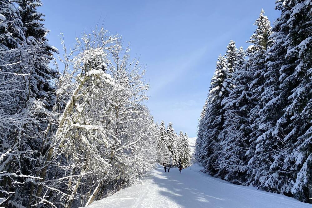 Photo of Others in La Lechere