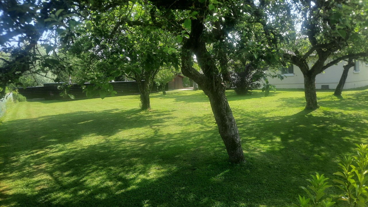 Photo of Outdoor in Nance